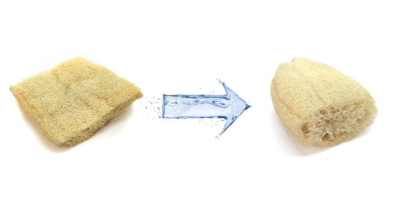 Luffa égyptien naturel (Luffa) - Éponge de bain Loofah pour le corps - 13 pouces