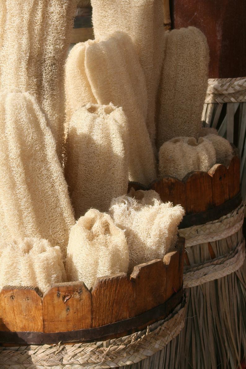 Luffa égyptien naturel (Luffa) - Éponge de bain Loofah pour le corps - 6 pouces