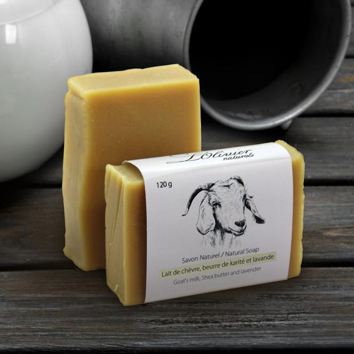 Goat Milk Soap with Shea Butter