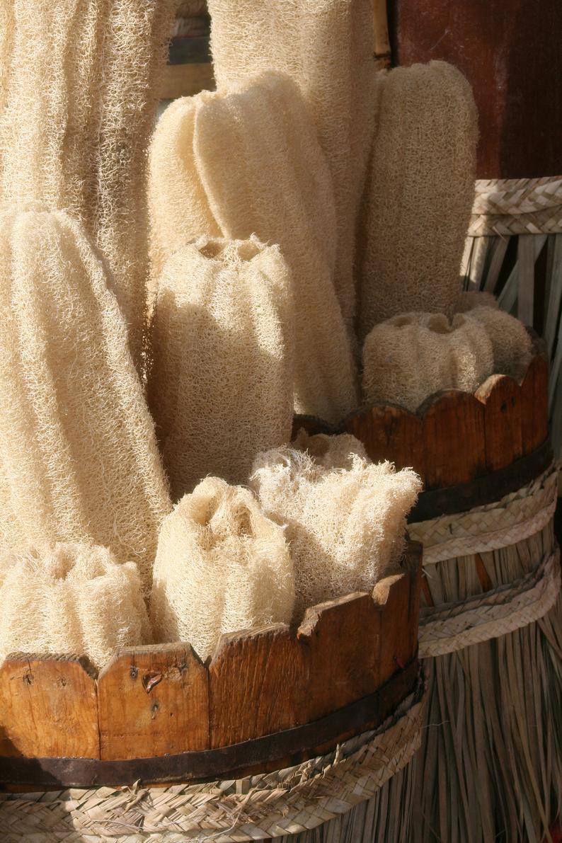 Natural Egyptian Loofah (Luffa) - Bath Sponge Loofah Body Scrubber - 13 Inchs